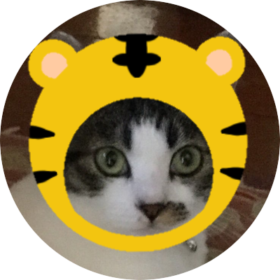 Instagram chikywo02 アイコンはご近所の愛猫・海ちゃんに戻しました。