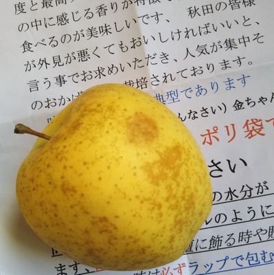 ニグといいます。
ロック好きな中年の女です。
ロック以外の色々なこともつぶやいてます。
北海道人です。
よろしくお願いいたします。
お金配りアカウント、エロアカウントのフォローは即ブロックします。
と書いてもしつこく来ます。
困ったもんです。