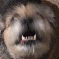 Justin (@oneoclockgun) 's Twitter Profile