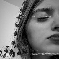 الكرمل (@karmelalmaqadma) Twitter profile photo