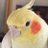 takenoko_AXS