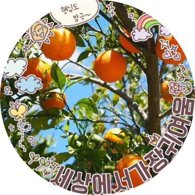 🕎🌾🕯️🍊🐣🍊(샤무례나) 리에나 삐🌾🕯️🕎さんのプロフィール画像