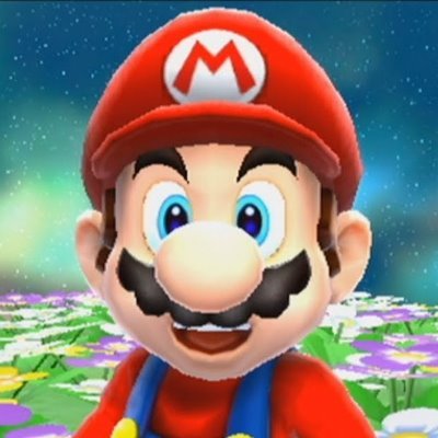 He/Him | 21 | Nintendo Fan | Mains Mario in Smash | Charles Martinet is my inspiration and Dark Wizzy is my goat