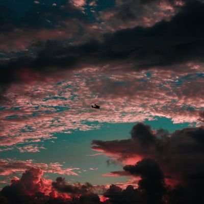 missun_fit's profile picture. 