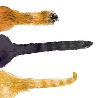 央 Sayaca/たまご庵 (@huevo_xxx) 's Twitter Profile Photo