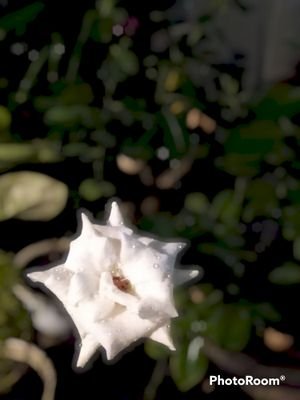 tebu_tebe's profile picture. I'm a man.
Asyik dan santuy menyimak trending topic.
Pembelajar obyektif.