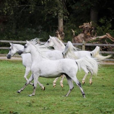 d_7574's profile picture. قديم جداً ومتقاعد