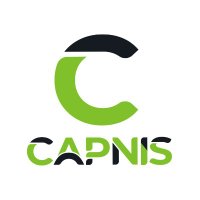 Capnis(@CapnisInfoTech) 's Twitter Profile Photo