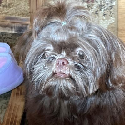 lagoe_daniel's profile picture. 