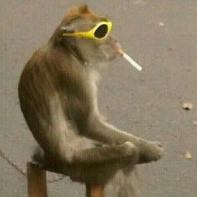 _aboveaverage69's profile picture. Relativista moral profesional.