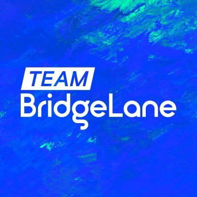 TeamBridgeLane Profile Picture