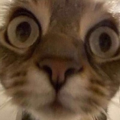 ilikelemonade_'s profile picture. hi