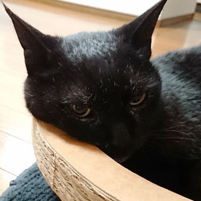 粉さんのプロフィール画像