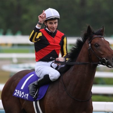 競馬🏇、野球🐯、格闘技🥊