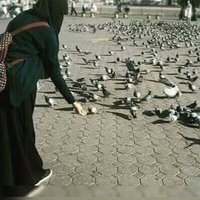 ‏‎﮼متفائلة (@amounamaroc1984) Twitter profile photo