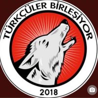 Türkçüler Birleşiyor(@turkculerbrlsyr) 's Twitter Profile Photo