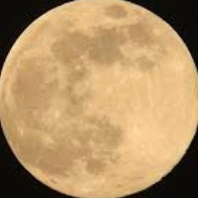 mt_ssfc's profile picture. ONE大阪🍀 サッカーが好き⚽ 好きな政治家は、松井さん吉村さん柳ヶ瀬さん🤗 橋下さんも勿論支持してます😀