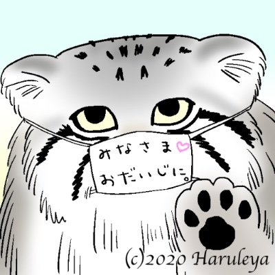 ハルレヤ。さんのプロフィール画像