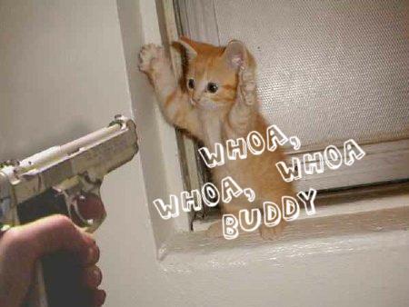 CYNTHIAwagner2's profile picture. Let me share funny picture and video everyday, take  a dose of fun everyday and Keep the Doctor away