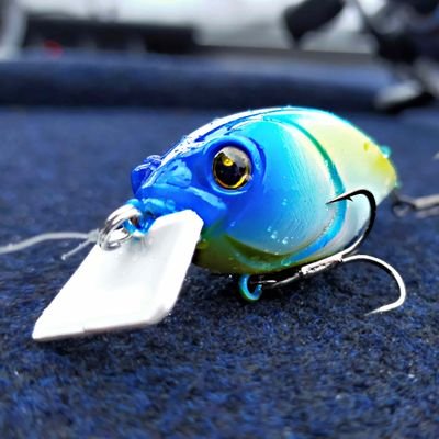 custom lure for the supreme bass anglers

バンブルビーカスタムルアーズ

バンブルビーカスタムルアーズ公式Twitter

製品情報や、釣果情報を主に投稿していきます。