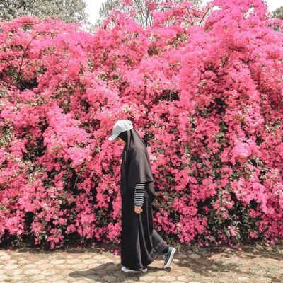 tirarostia's profile picture. berproses dengan kecepatan yang tepat.