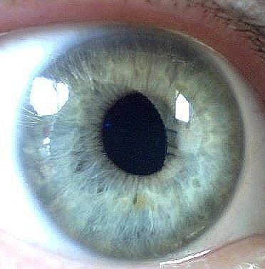 hv_francesco's profile picture. 