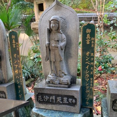 hustlemuscle12's profile picture. 進撃タイガース？