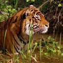 Ben Meyers - @benmnn - Twitter