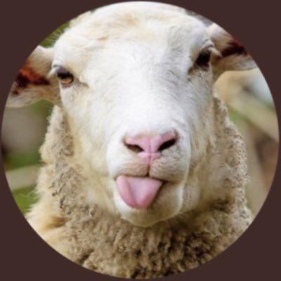 shepherds_99's profile picture. Schaf mit Dickkopf. Tulpchens Schnullerbacke 💜 Hat einen Hausgeist namens Thaddäus 👻 Ab und an gibt‘s Rezepte #kochendesSchaf🧆