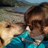 Aysel Senguder (@ayselsenguder) 's Twitter Profile Photo