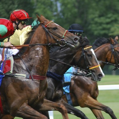 競馬歴10年、データサイエンティスト歴4年のエンジニア。競馬を効率よく分析したくなり、データサイエンティストの道へ。現在は某メーカー勤務エンジニアの兼業です。年間収支は＋50万前後、的中率重視のローリスクローリターン。