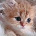 @tmF1UFJ8UL7e5mi