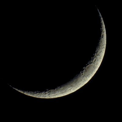 Missph21's profile picture. ©™