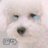 doodididoo's profile image