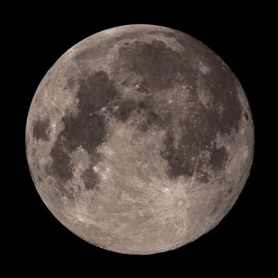 rainbowmidosuji's profile picture. 