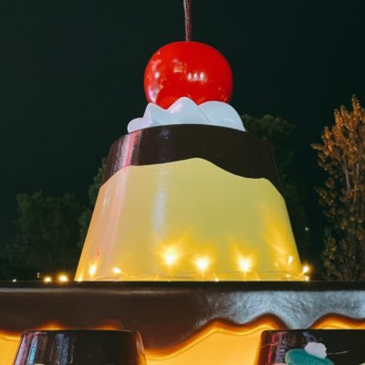 こむぎ🍮 🧸♔ (@komu_camera) / Posts / X