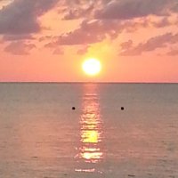 RenΓ© π (@renmid) 's Twitter Profile Photo RenΓ© π (@renmid) 's Twitter Profile Photo