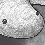 電魚さんのプロフィール画像