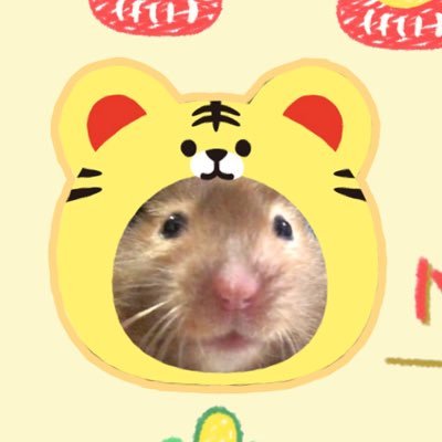 monmonmontaさんのプロフィール画像