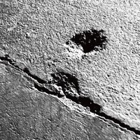 miharu dam (@miharu_dam) 's Twitter Profile Photo