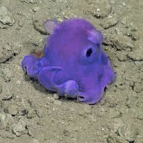 knock_horizon's profile picture. TRPG 시나리오와 그 외의 것들을 배포합니다. WoS 룰 제작자 아님.
후기폼(확인느림): https://t.co/HitAWUUW7R