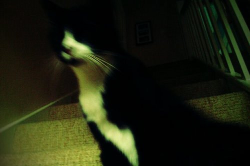 lmw2202's profile picture. Finding my feet