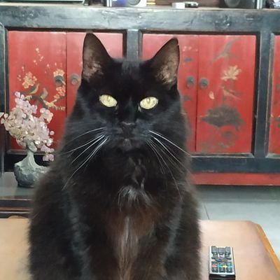 NicoleSainz10's profile picture. syndicaliste, anticapitaliste, féministe, anticolonialiste, anti fasciste, antiraciste,marxiste.