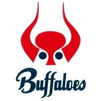 nekomaru_vst250's profile picture. 