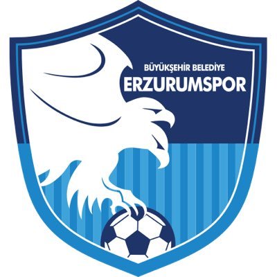 Erzurumspor / Büyük Birlik Partisi Erzurum / Fenerbahçe / Erzurum Alperen Ocakları