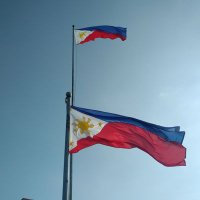 masamasa (@masamas30778885) 's Twitter Profile Photo