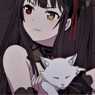 CodeKaito's profile picture. 