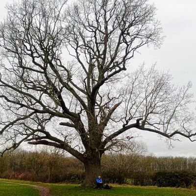 Engineer | Doctoral Researcher @LoLoCDT Loughborough University | Researching summertime #overheating in homes | #sundaypainter