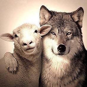 ゲーム.音楽とか色々呟いていくスタイル。 🐺なんでも呟きます🐺 🐑旦那の飯が美味すぎる🐑❤sks❤