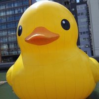 矢農 誠(アヒル室長)@補助金活用アドバイザー/北海道の認定支援機関OTis (@tomajimu1001) 's Twitter Profile